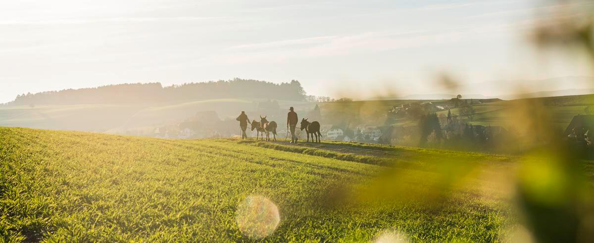 Die Bernerland Bank wagt den Ausblick aufs Geschäftsjahr 2021