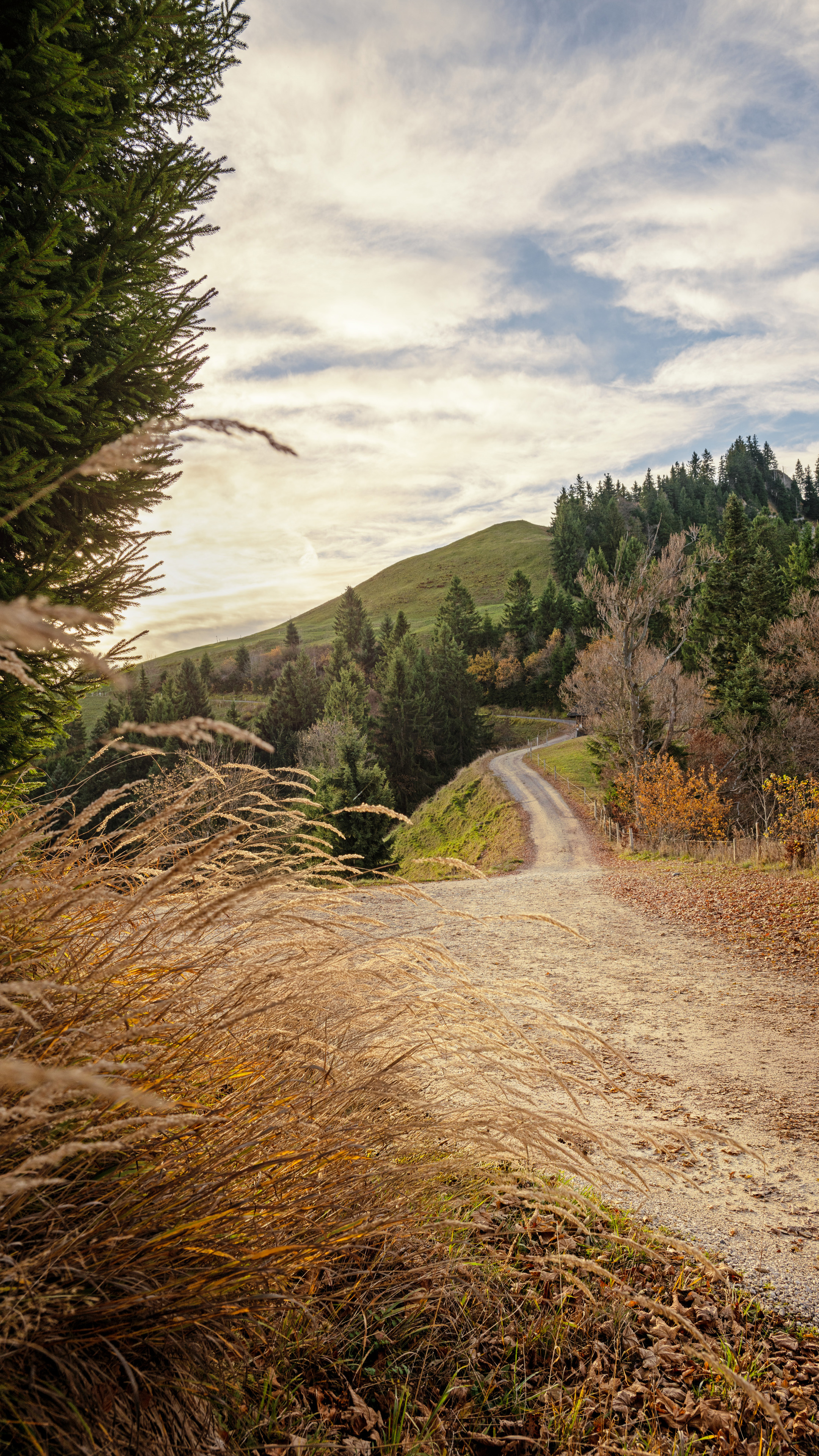 Im Jahr 2026 geht die Bernerland Bank ihren Weg konsequent weiter.