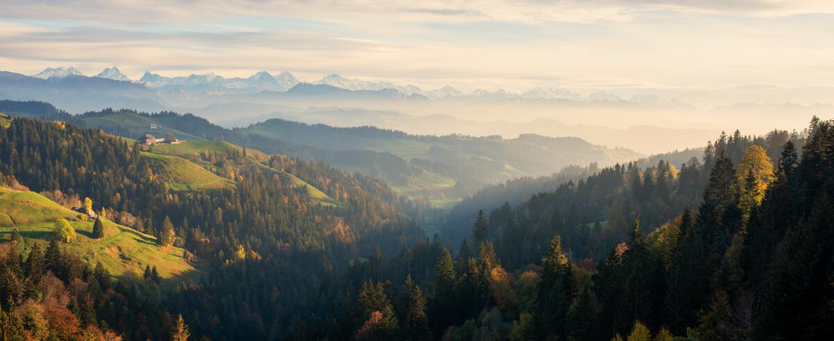 Die Jahresrechnung 2025 gibt Aufschluss &uuml;ber das vergangene Gesch&auml;ftsjahr der Bernerland Bank. ✓ Lagebericht | ✓ Bilanz und Erfolgsrechnung | ✓ Umfassende Jahresrechnung 