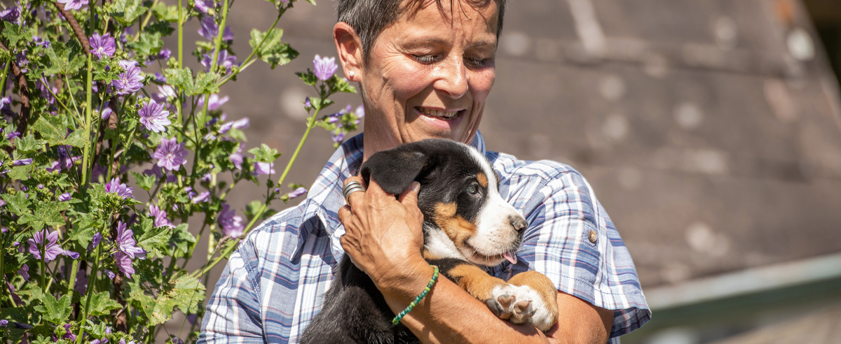 «Meine Hunde geben mir ein sicheres Gefühl.»