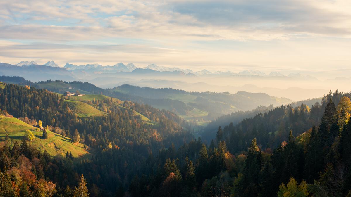 Gesch&auml;ftsbericht 2025