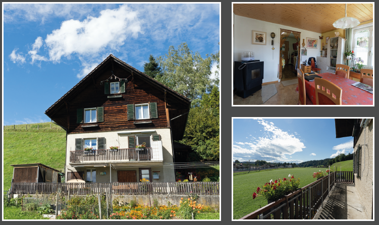Einfamilienhaus in Grünen